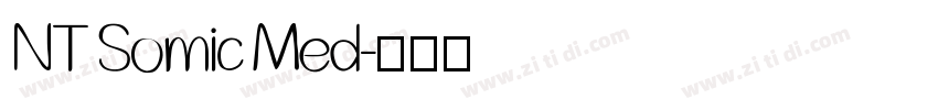 NT Somic Med字体转换